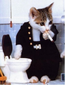 7diw m3akom l walid lay7assalni kantkayyaf