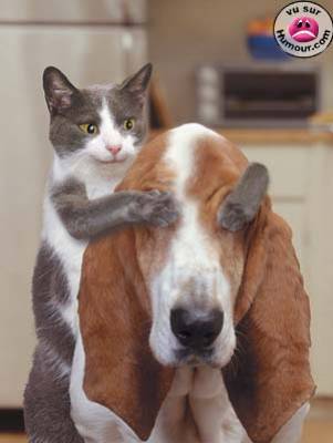 Devinne qui suis je?