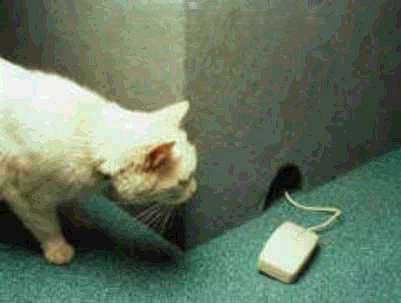 m&eacute;  elle n'a pas peur