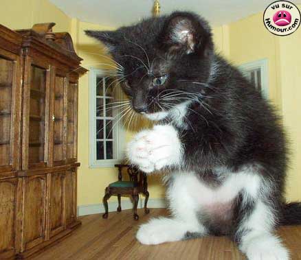 Godzilla est de retour