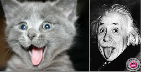 yakhlo9 mina chabahi 40